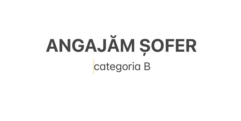 Sofer cat. B pentru firma constructii